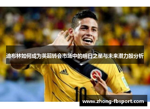 迪布林如何成为英超转会市场中的明日之星与未来潜力股分析