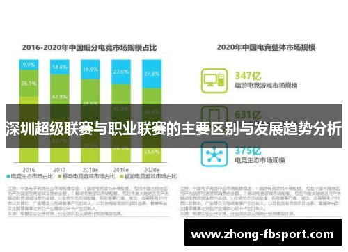 深圳超级联赛与职业联赛的主要区别与发展趋势分析